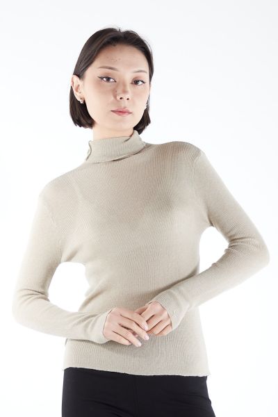 Водолазка/ALTER722/252710051